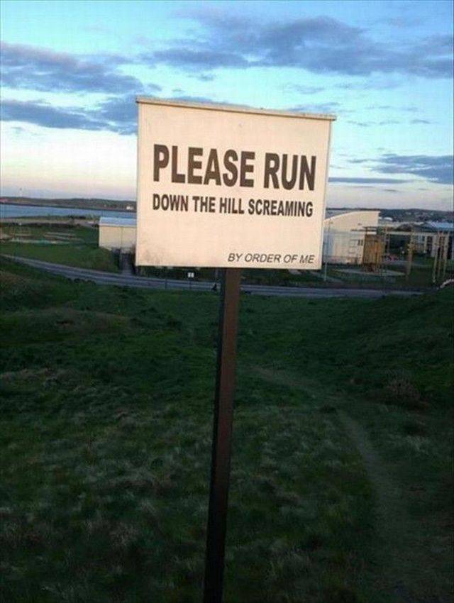 Daily Picdump