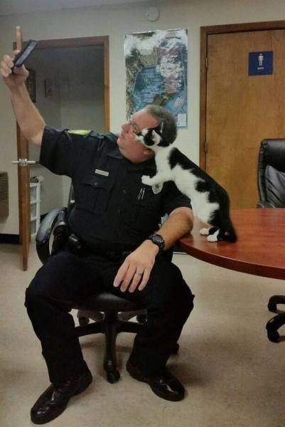 Daily Picdump