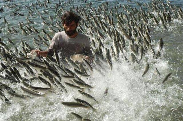 Daily Picdump