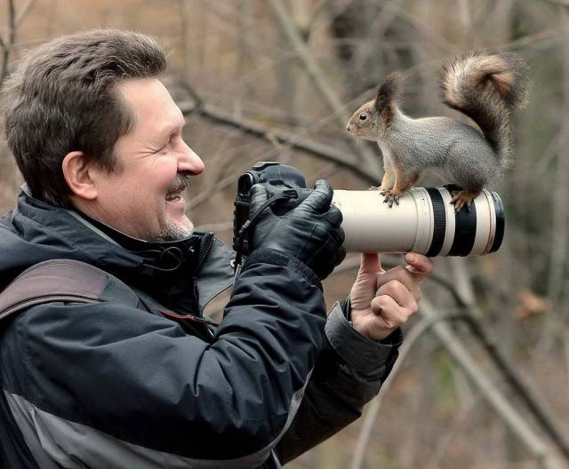 Content Image