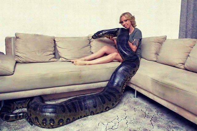 Content Image