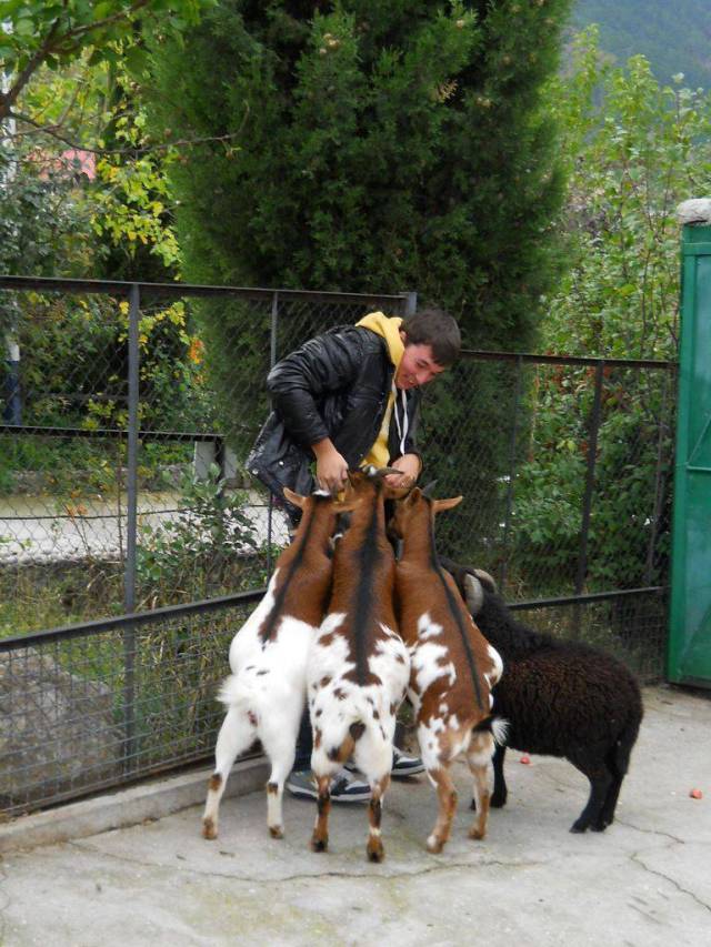 Daily Picdump