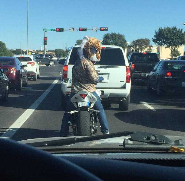 Morning Picdump