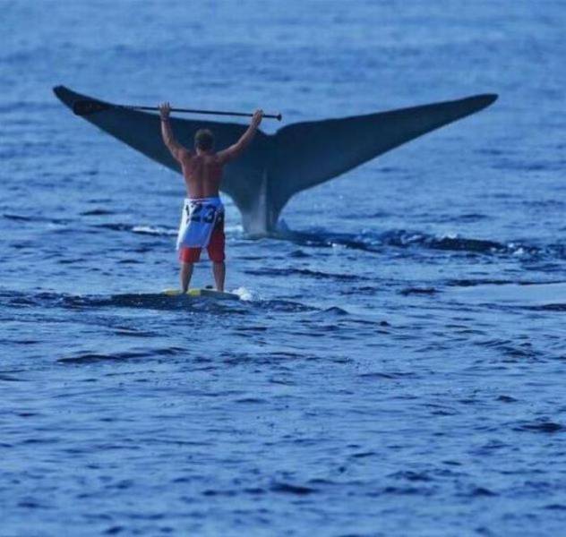 Daily Picdump