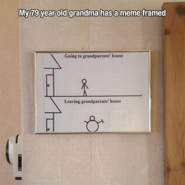 Daily Picdump