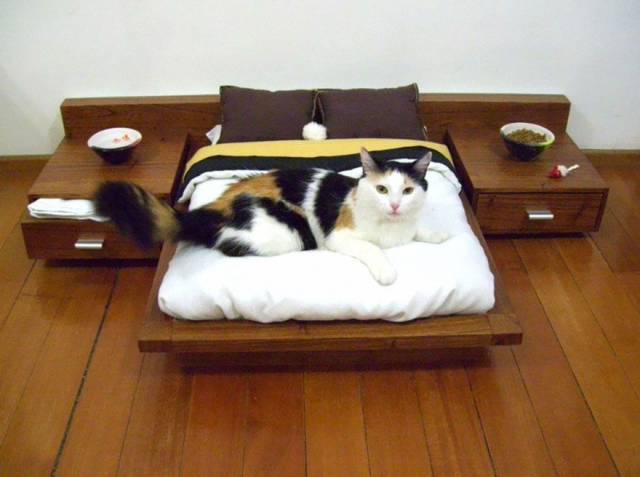 Content Image