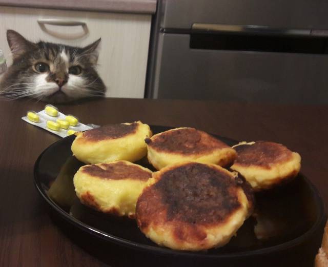 Content Image