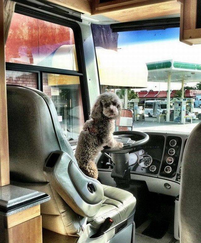 Daily Picdump