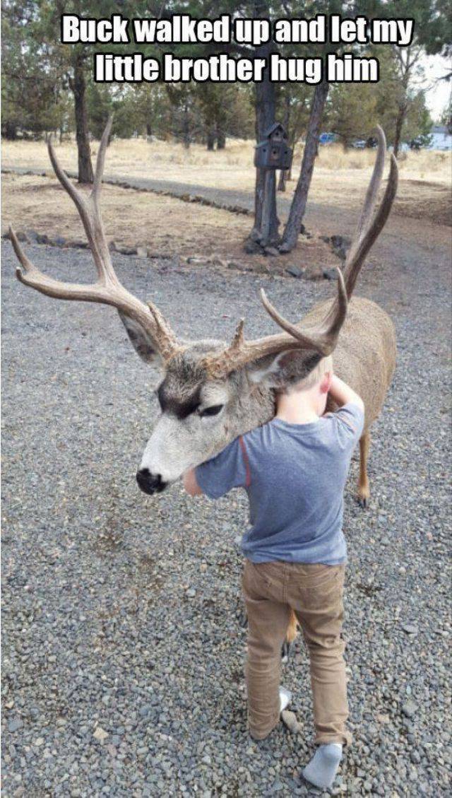 Daily Picdump