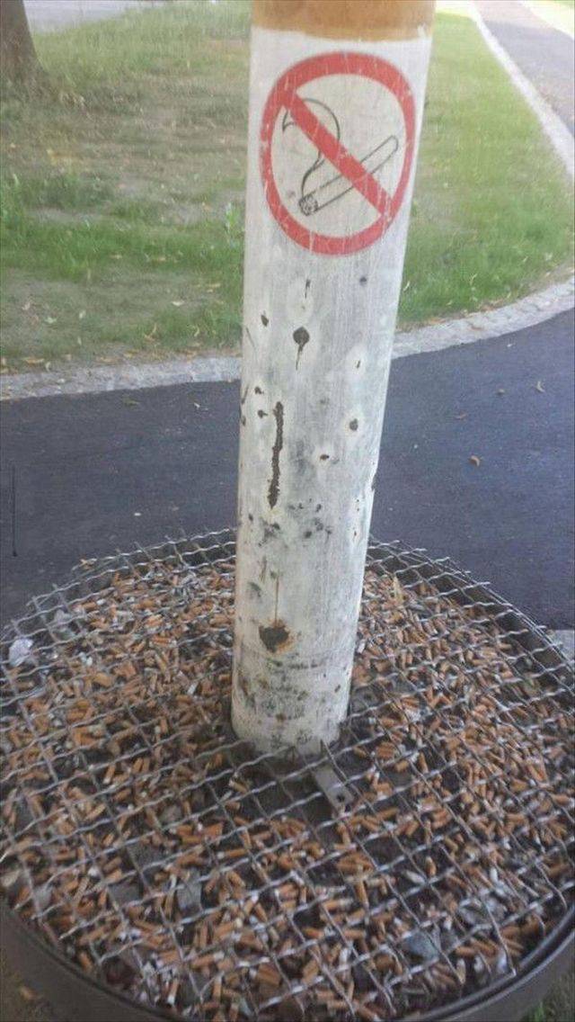 Content Image