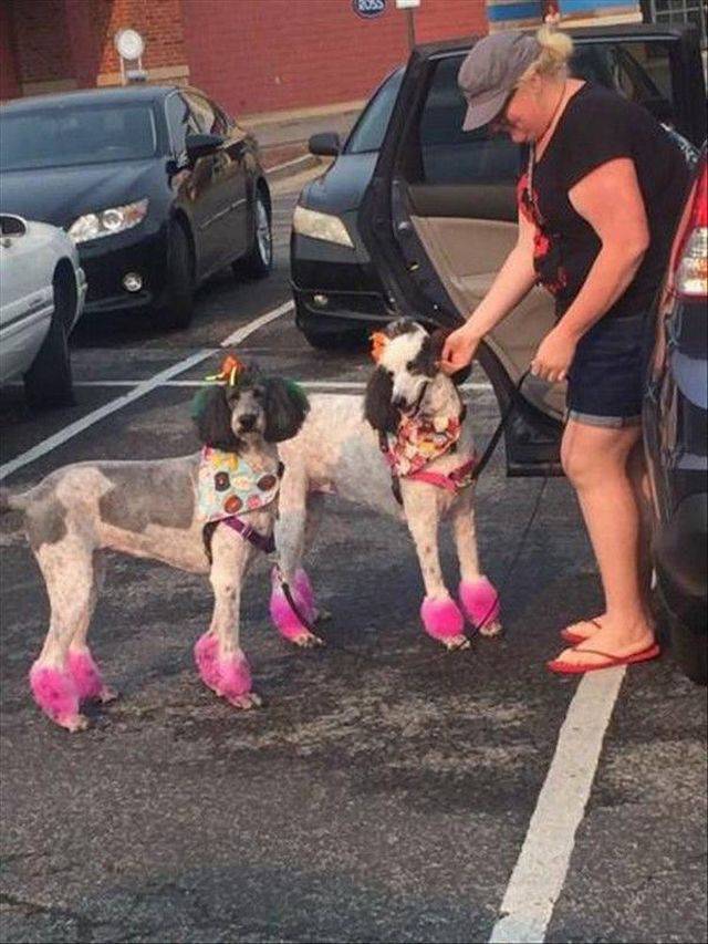 Content Image