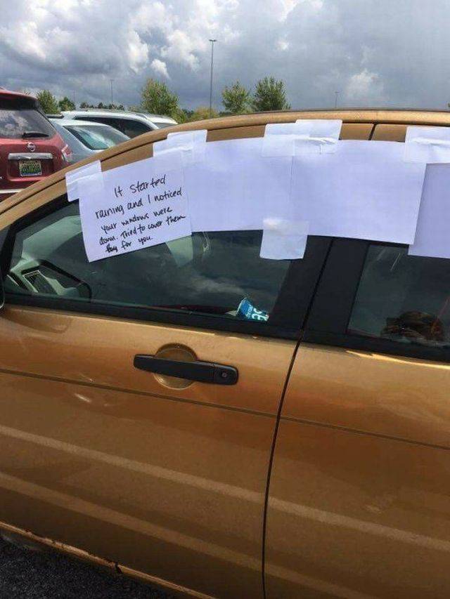 Content Image