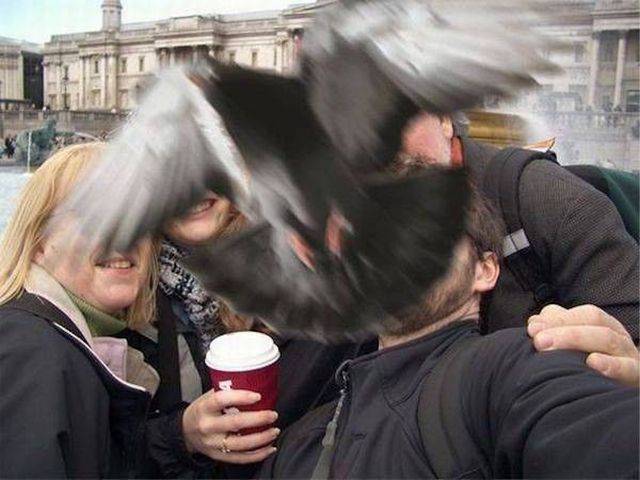 Content Image