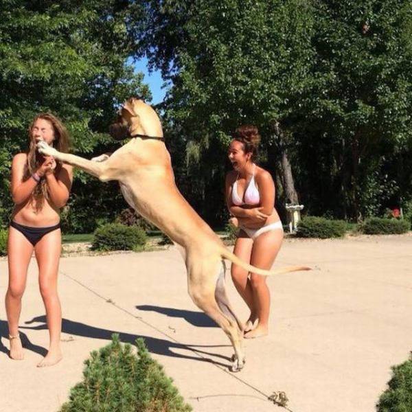 Daily Picdump