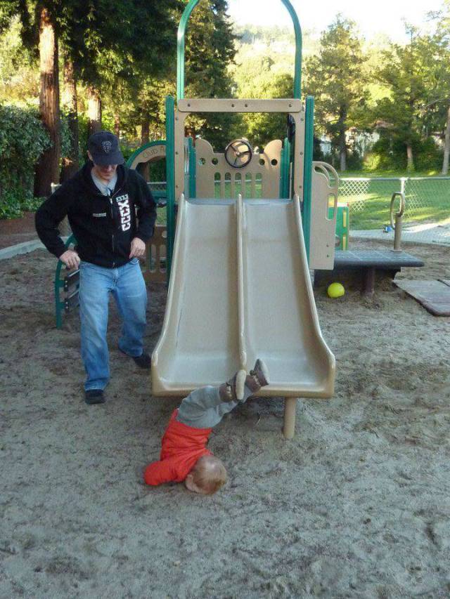 Daily Picdump