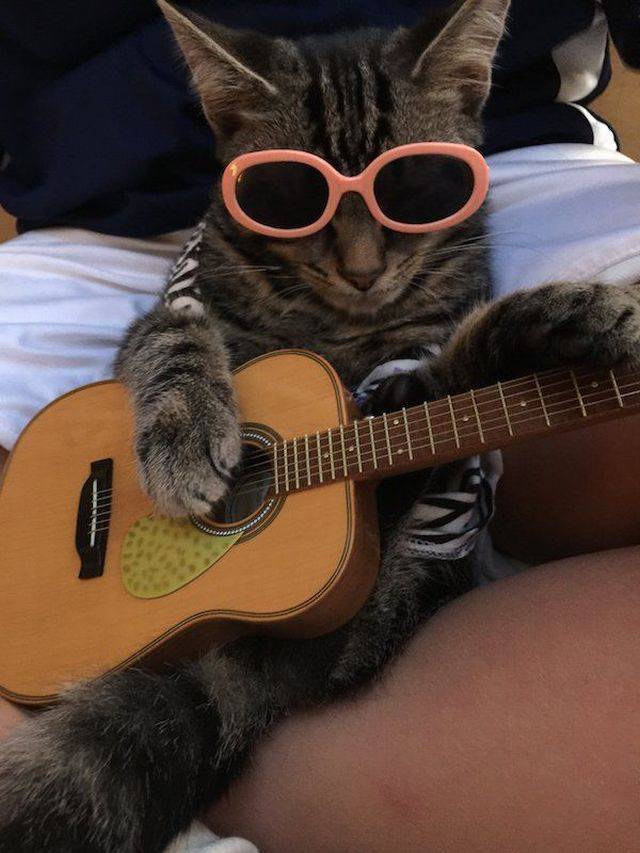 Content Image