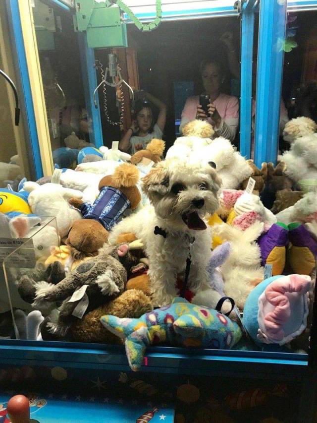 Content Image