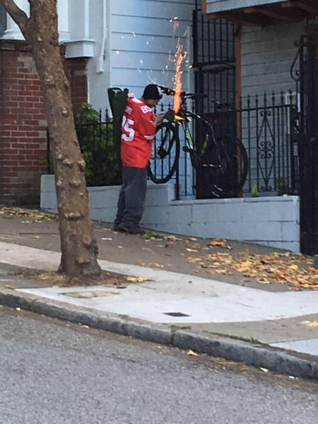 Morning Picdump