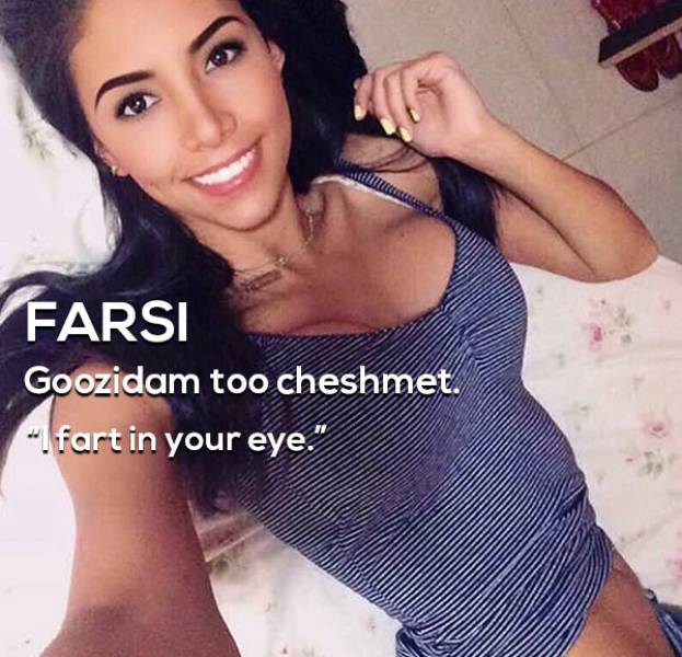 Kinky Insults From All Around The World