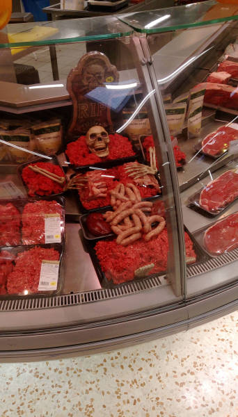 Morning Picdump