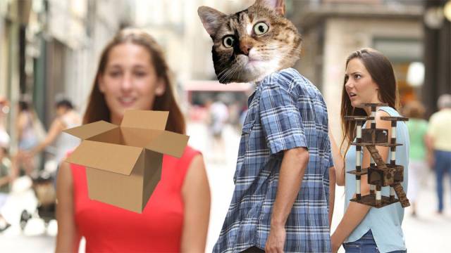 Daily Picdump