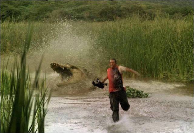 Blurry Photos Are Great As Well!