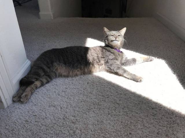 Daily Picdump