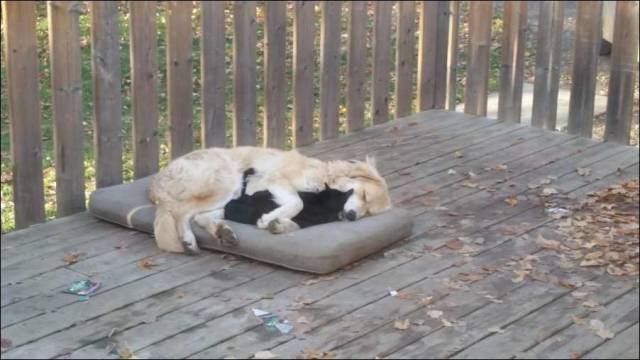 Daily Picdump