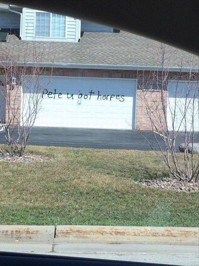 Daily Picdump
