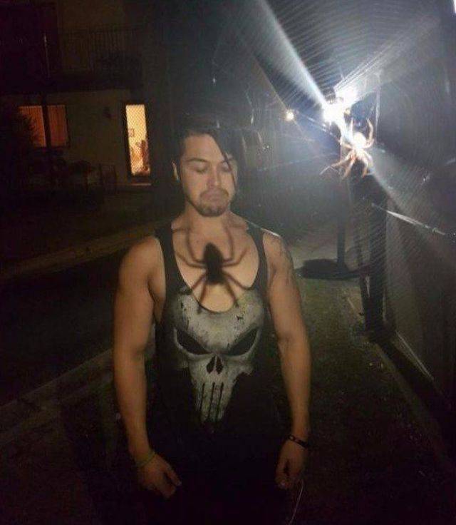 Daily Picdump