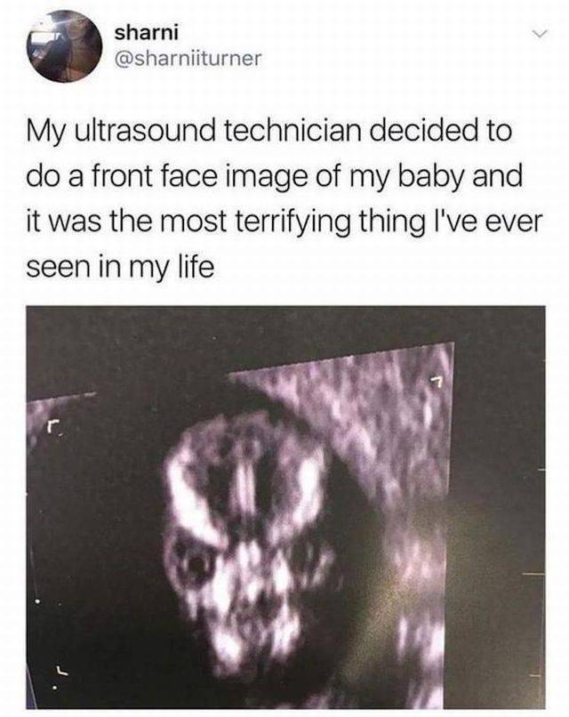 Daily Picdump