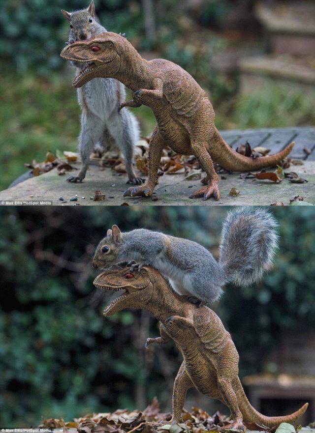 Content Image