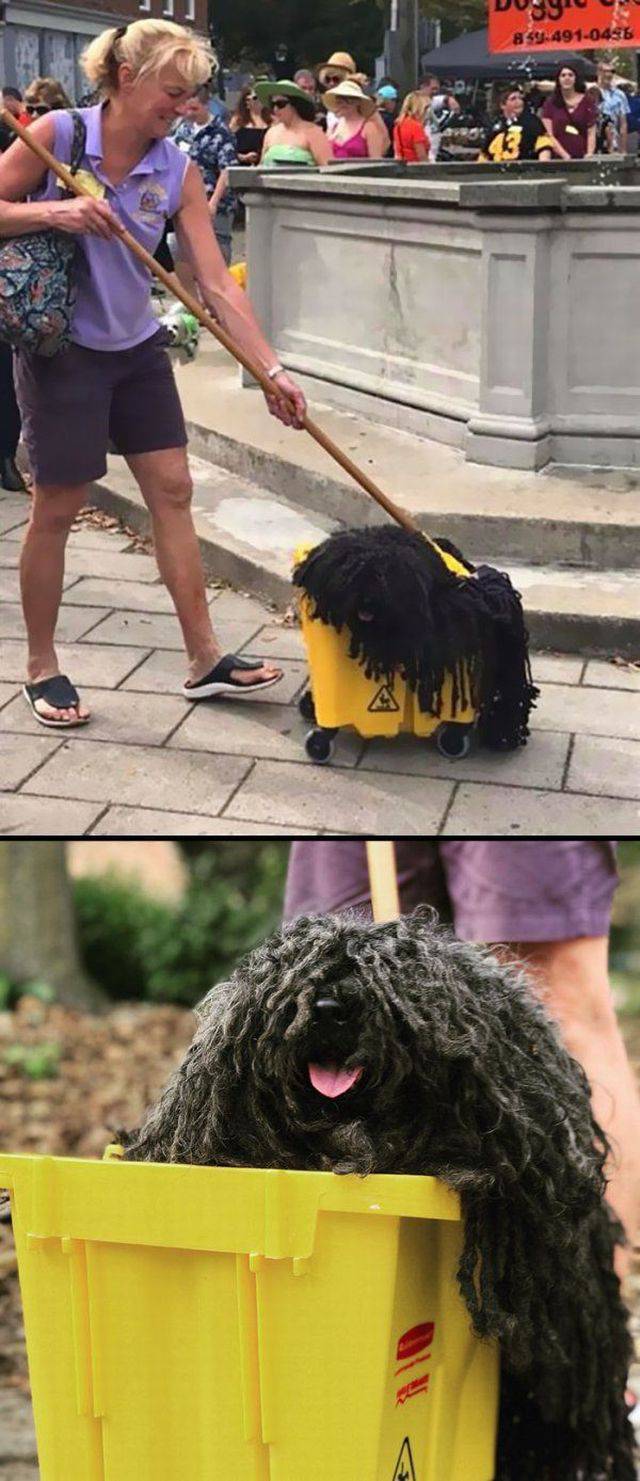 Content Image