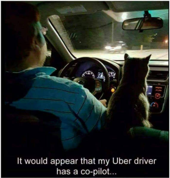 Funny Picdump