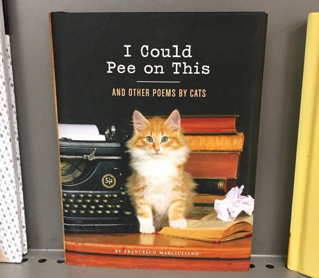 Daily Picdump [WEEKEND EDITION]