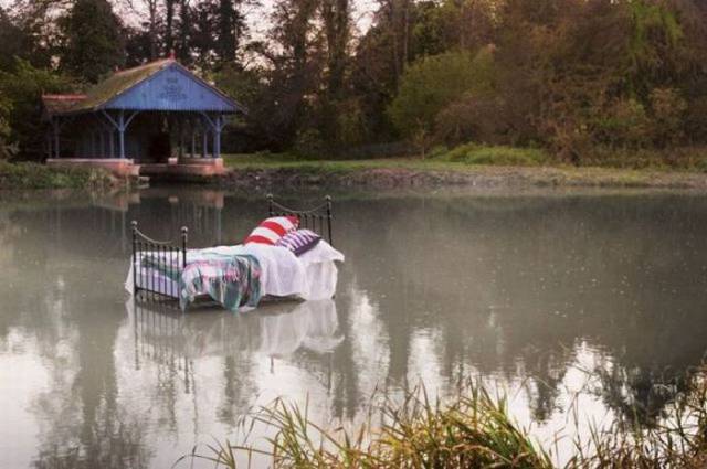 Daily Picdump