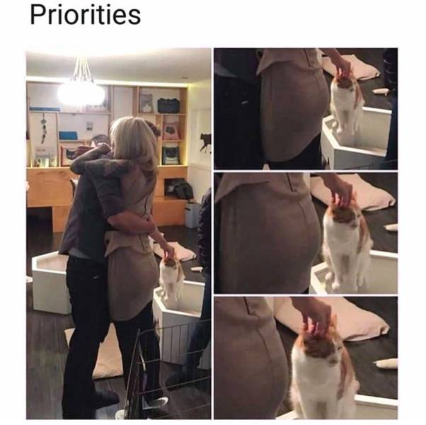Content Image