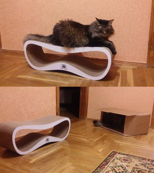 Content Image