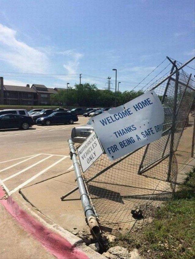 Content Image