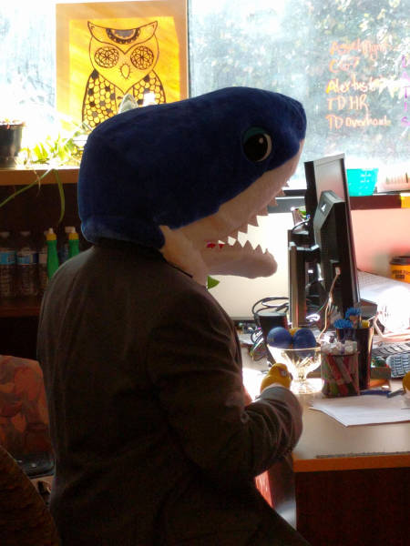 Content Image