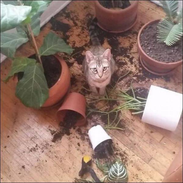 Daily Picdump
