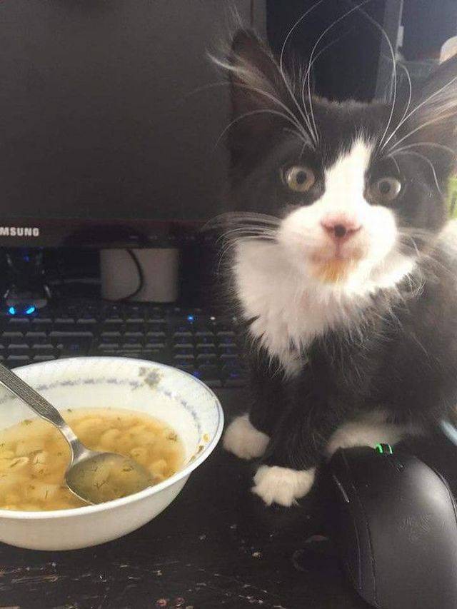 Daily Picdump