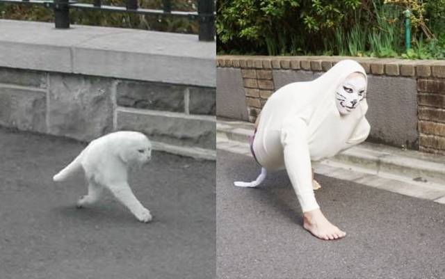 Content Image