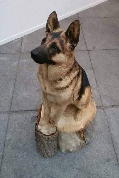 Content Image