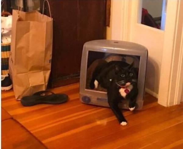 Funny Picdump