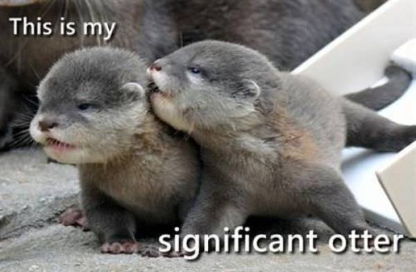 Funny Picdump