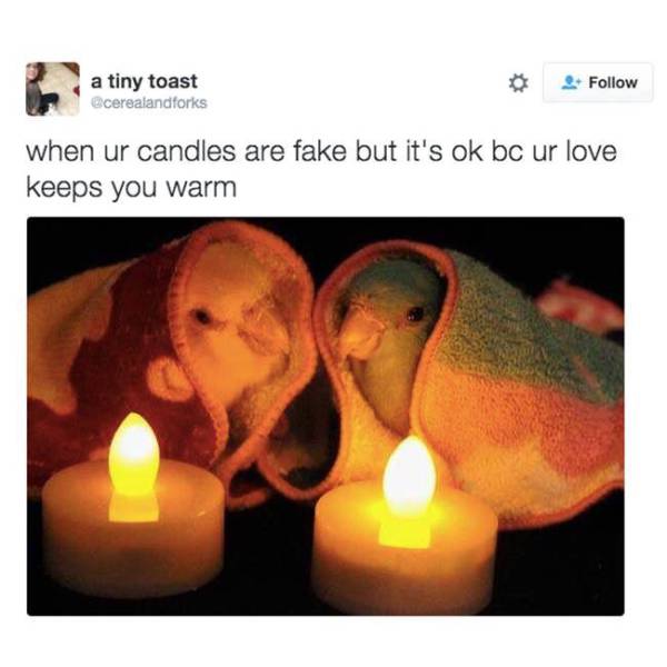Funny Picdump