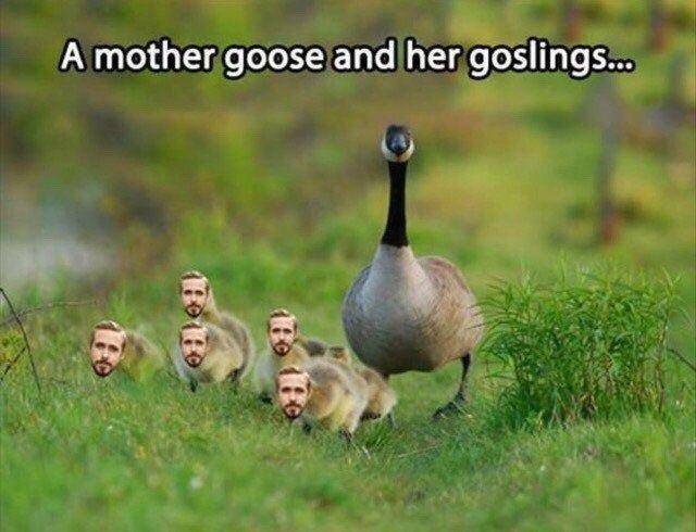 Content Image
