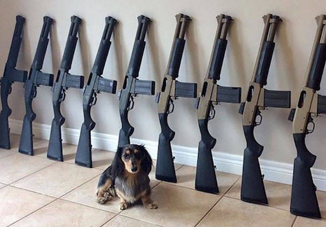 Morning Picdump