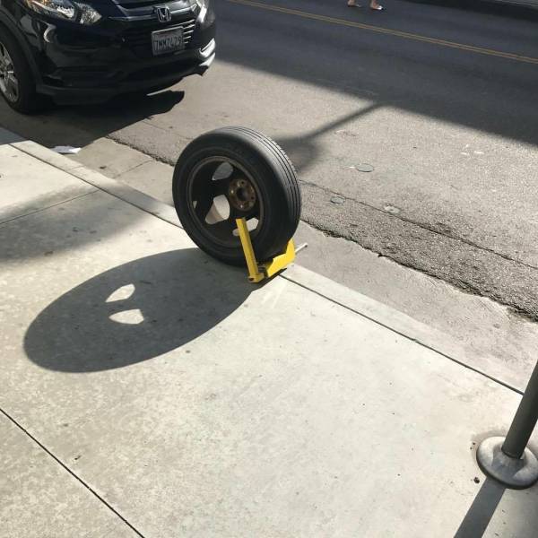 Content Image